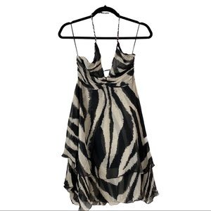 Roberto Cavalli for H&M Zebra Print Dress